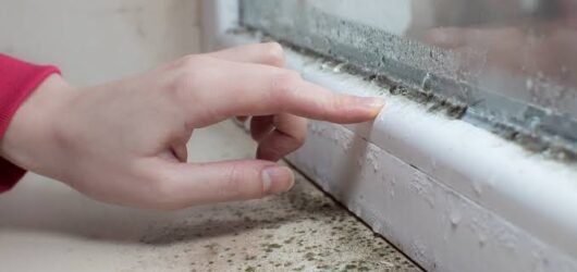 Como Eliminar o Mofo em Ambientes Internos: Um Guia Prático
