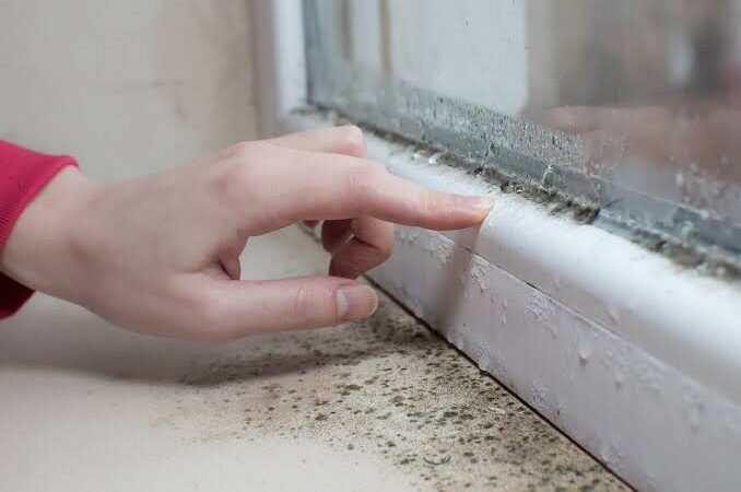 Como Eliminar o Mofo em Ambientes Internos: Um Guia Prático
